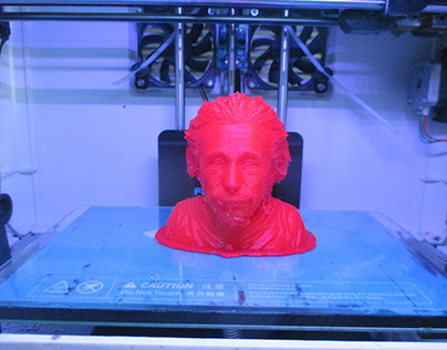 Einstein 3D Printing
