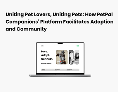 Building Pet Communities: PetPal Case Study
