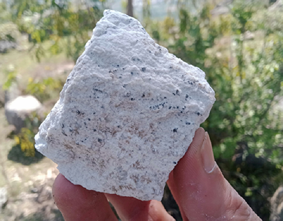 white stone with black spots