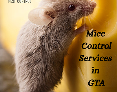 Efficient Mice Control in the Greater Toronto Area