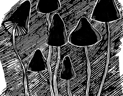 Mushroom marginalia