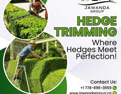 10 Signs That Show Need To Hedge Trimming Services