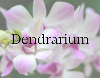 Dendrarium
