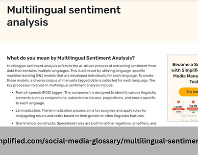 Navigating Multilingual Sentiment Analysis