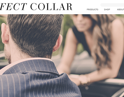 Perfect Collar Web Mockup