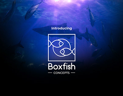 Boxfish - Website Design