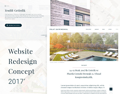 Website Redesign Concept - Polat Değerleri