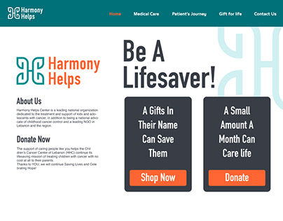 Website design for donations
