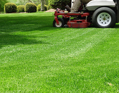Benefit Your Lawn And Eliminate Weed Growth