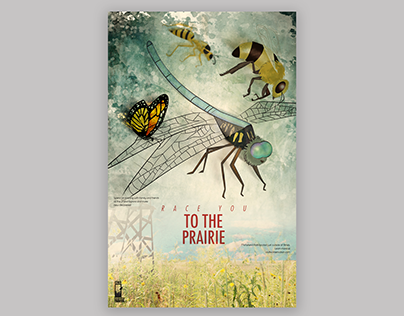 Race You To The Prairie