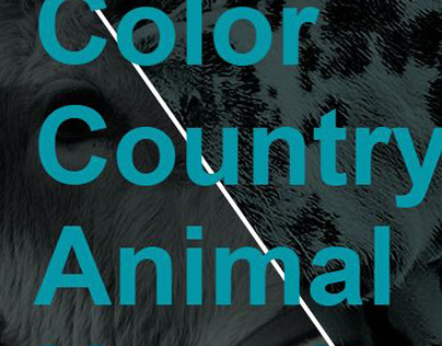 Color Country Animal Hospital  |  Splash Page Concept