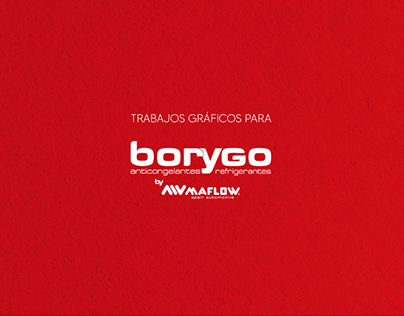 Project thumbnail - Trabajos para Borygo | Maflow Spain Automotive