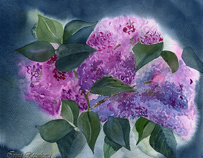 Purple colour and Lilac Paradise