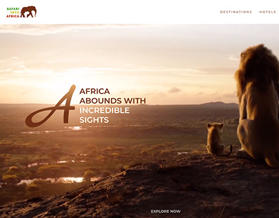 Safari Website Design