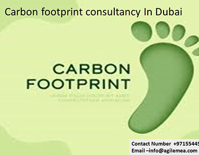 Carbon footprint consultancy In Dubai