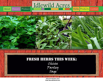 Project thumbnail - Idlewild Acres Website