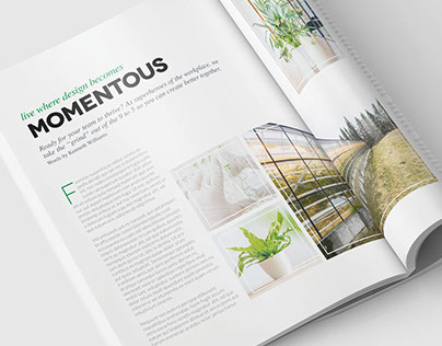 Magazine Template - InDesign 24 Page Layout V14