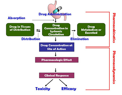 Drug Distribution System