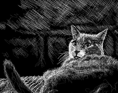 Ilustraciones gatos