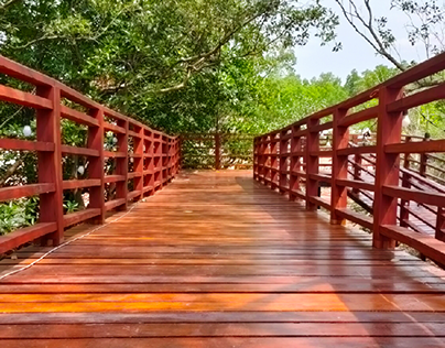 the wooden bridge