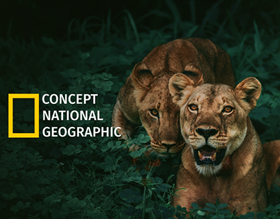 National Geographic. Redesign concept dark