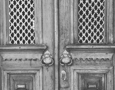 Project thumbnail - The doors: details.