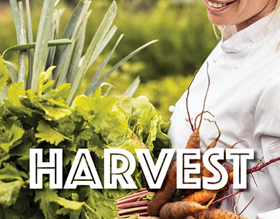 Brand Booklet Concept for Harvest Locavore Restaurant