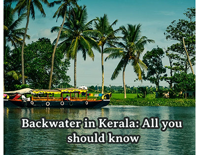 Backwater in Kerala: All you should know