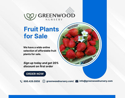 Fruit plants online