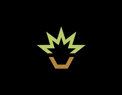 Логотип и оформление группы музыканта вконтакте