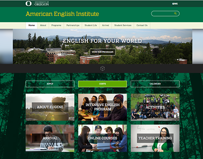 Web Design for American English Institute