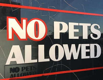 NO PETS ALLOWED WINDOW SIGN