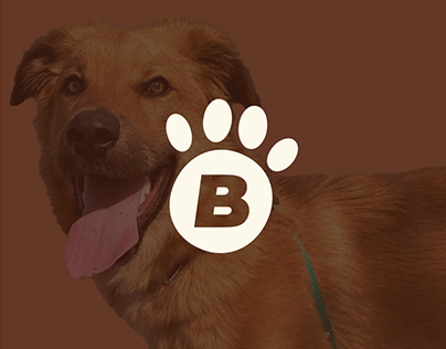 Bongo // Branding & Logo Design