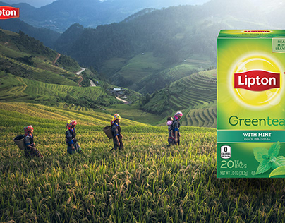 Unofficial poster design for lipton!