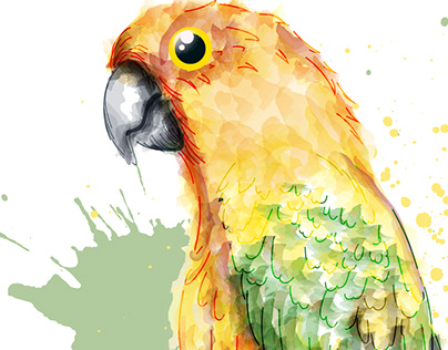 watercolour birds