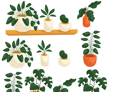 home plants vector illustration