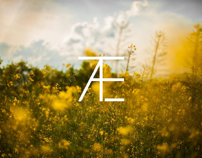 logo for ATEF
