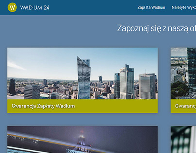 Logo and website for polish insurance sector