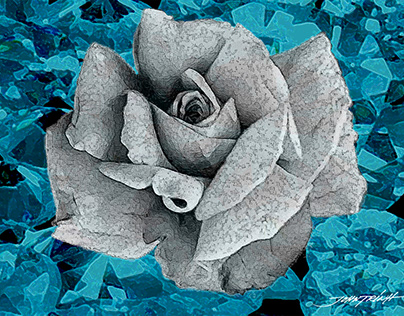 "Black and White Rose on Blue Diamonds"