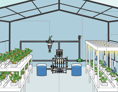 Greenhouse Illustration