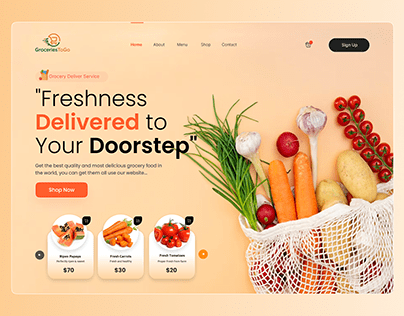 Grocery Delivery Landing Page Design