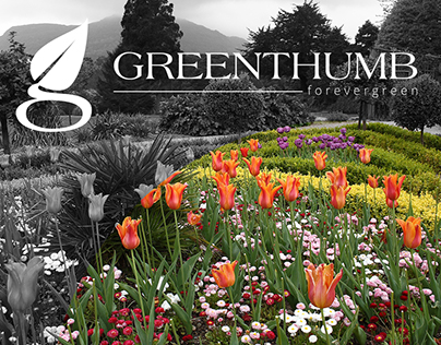 Greenthumb - Brand Design