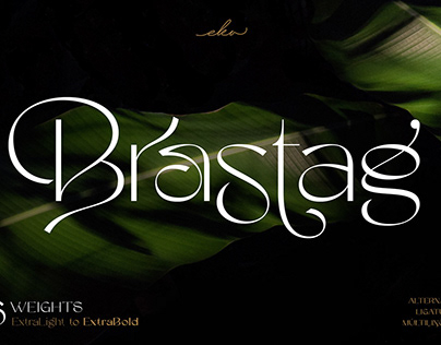 Brastag - Display Font Family (Free Weight)