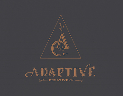 Adaptive Creative Co. Branding