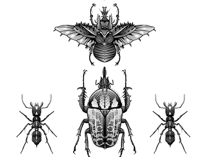 Insectos vectoriales