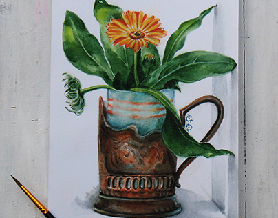 Calendula. Watercolor