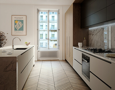 Apartment in Paris. Kitchen.