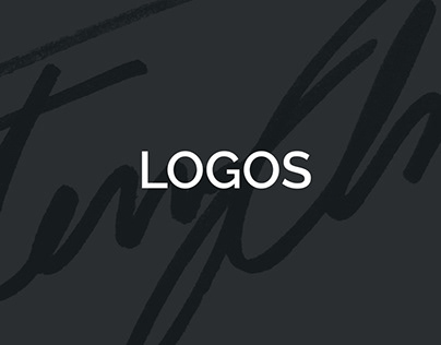 Logo Portfolio | Terry Ameno