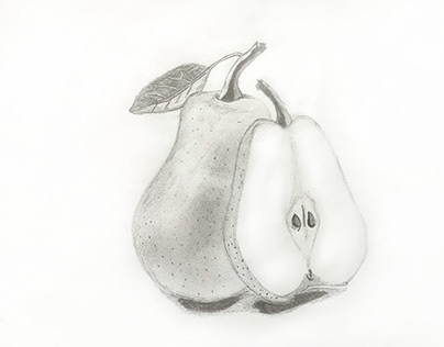pencil drawing of a green apple