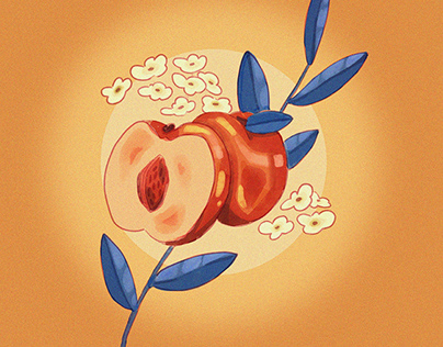 Nectarine Illustration
